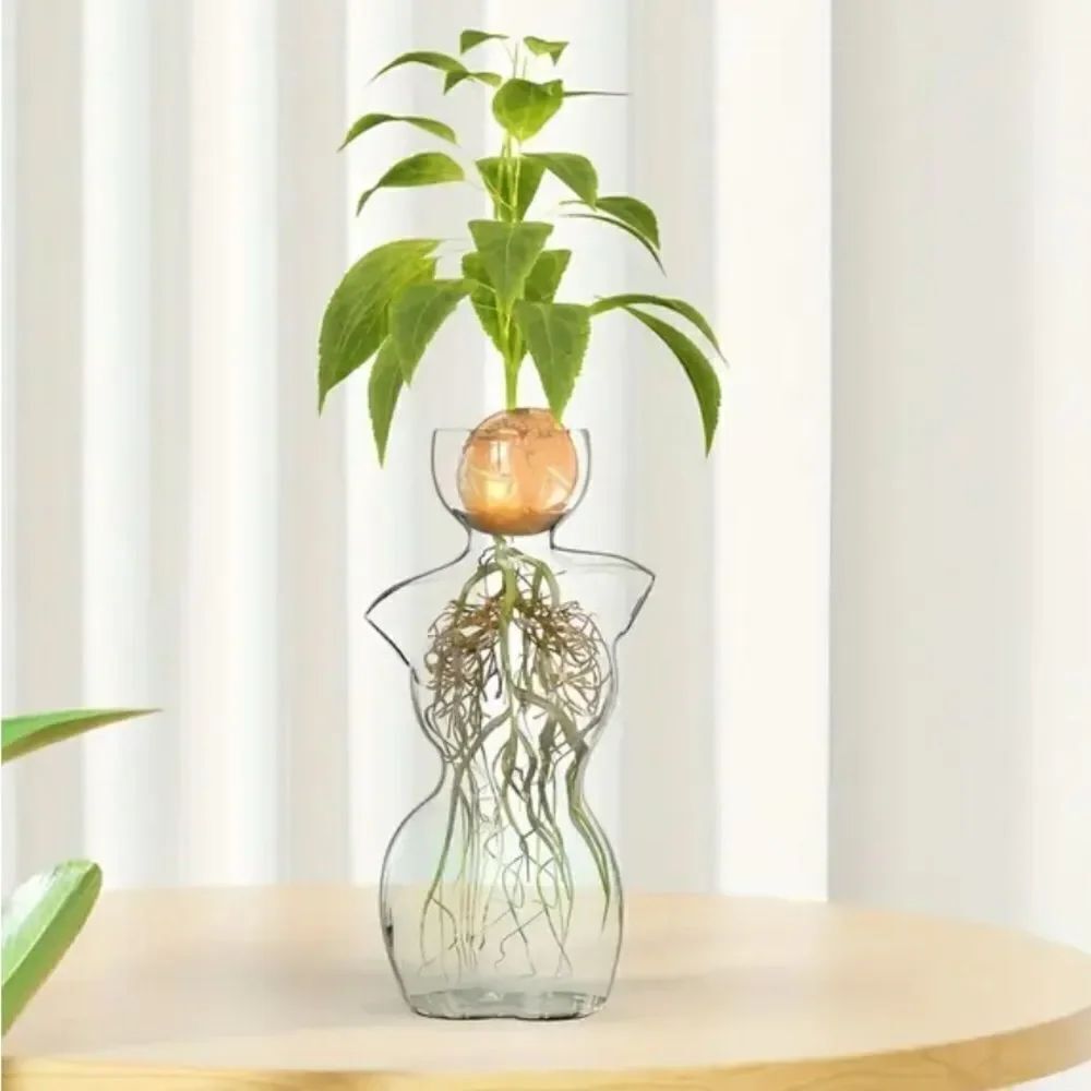 Elegant Body Design Glass Vase